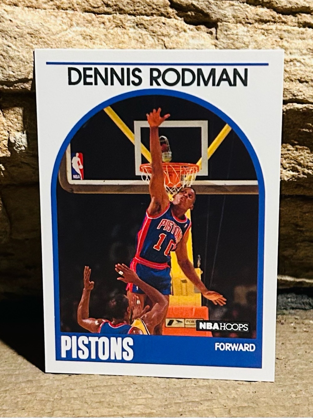 Dennis Rodman NBA Collector’s Card - VGC